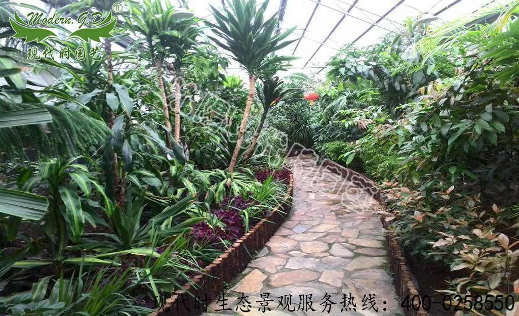 觀光農(nóng)業(yè)園