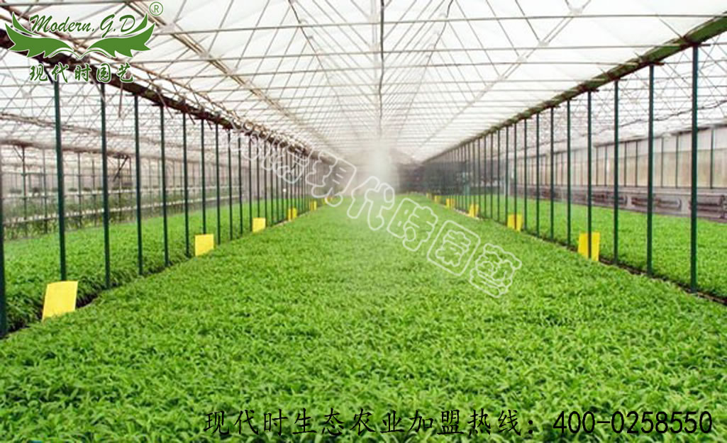 自動(dòng)節(jié)水灌溉