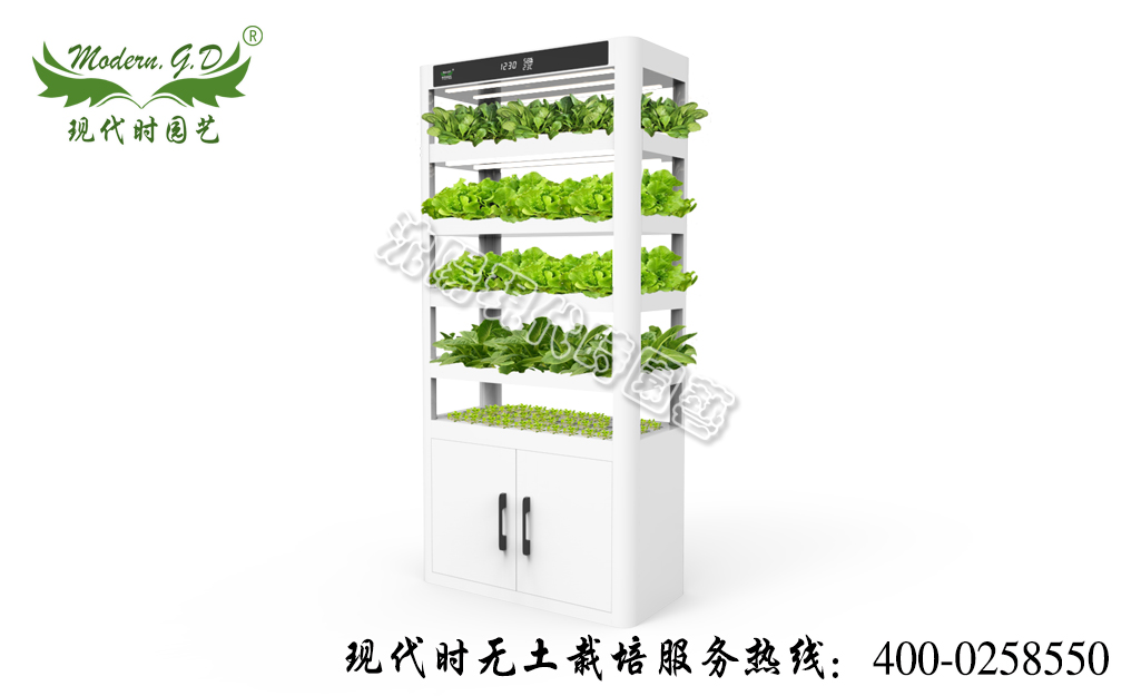 智能蔬菜種植機(jī)—智能版 型號(hào):N-30